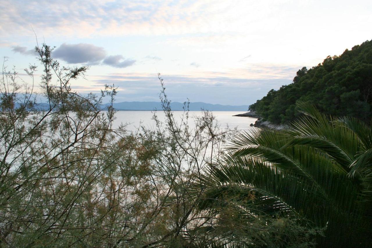 Seaside Secluded Apartments Cove Smokvina, Hvar - 4036 Bogomolje Eksteriør bilde
